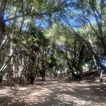 Lodi Lake Nature Trail - Trail pathway - Parks Near Me - Lodi, California