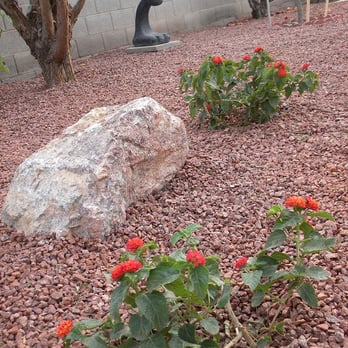 Plant Wise - a garden with red flowers and a rock - Landscaping Near Me Plant Wise - a garden with red flowers and a rock - Landscaping Near Me