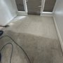 Photo of The Carpet Alchemist
