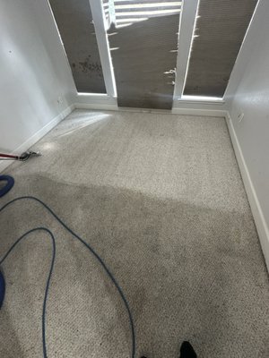 The Carpet Alchemist on Yelp