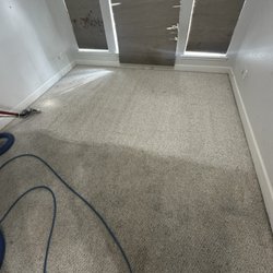 The Carpet Alchemist - Extreme carpet cleaning