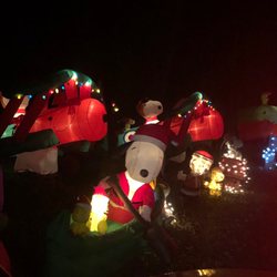 Watt Christmas Wonderland - Christmas!!