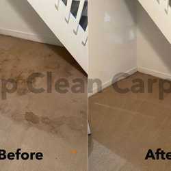 Top Clean Carpet