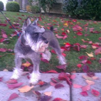 SAGE Veterinary Centers - Dublin - What did you say to me? - Veterinarians Near Me - Dublin, California