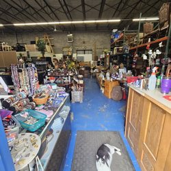 The Dusty Box - Welcome to our store of hidden treasures! Make sure to say hi to Bob!