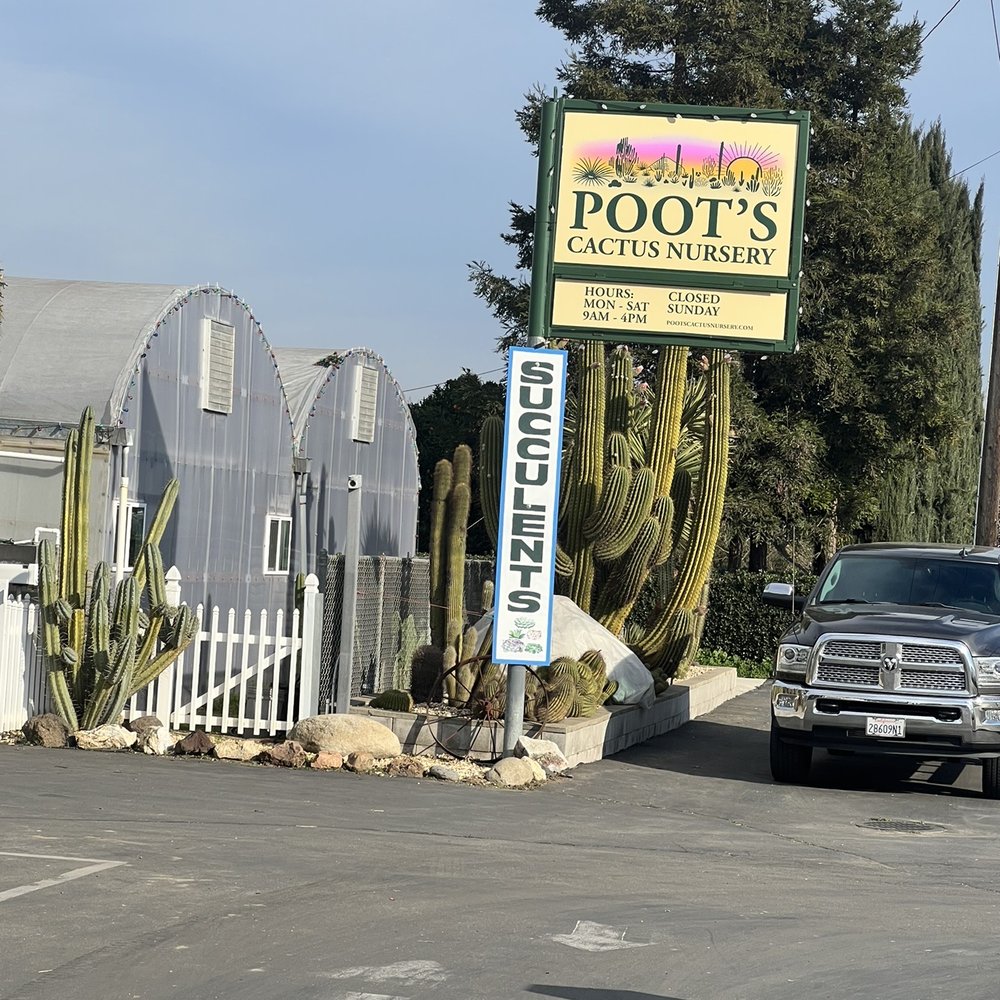 Poot's Cactus Nursery - Hello! You are about to spend some money on beautiful plant babies! - Nurseries & Gardening Near Me - Ripon, California Poot's Cactus Nursery - Hello! You are about to spend some money on beautiful plant babies! - Nurseries & Gardening Near Me - Ripon, California