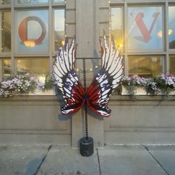 Love Wings
