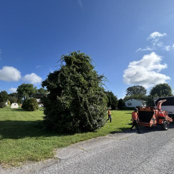TLC Tree & Landscaping Care - Tree Services Near Me - Coatesville, Pennsylvania TLC Tree & Landscaping Care - Tree Services Near Me - Coatesville, Pennsylvania