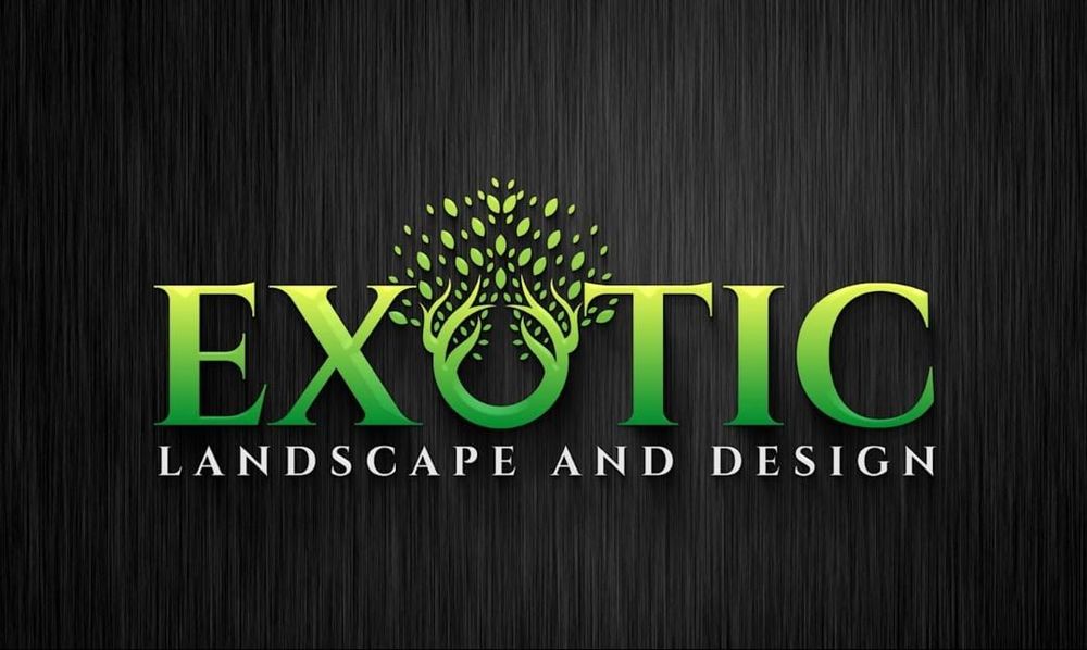 Professional Tree Service - tree service in Sunland, CA