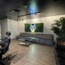 Jungle Life Studio