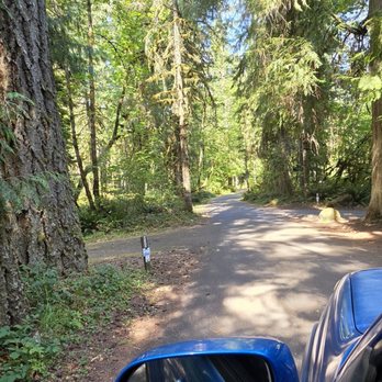 Black Canyon Campground - Hiking Near Me - Oakridge, Oregon