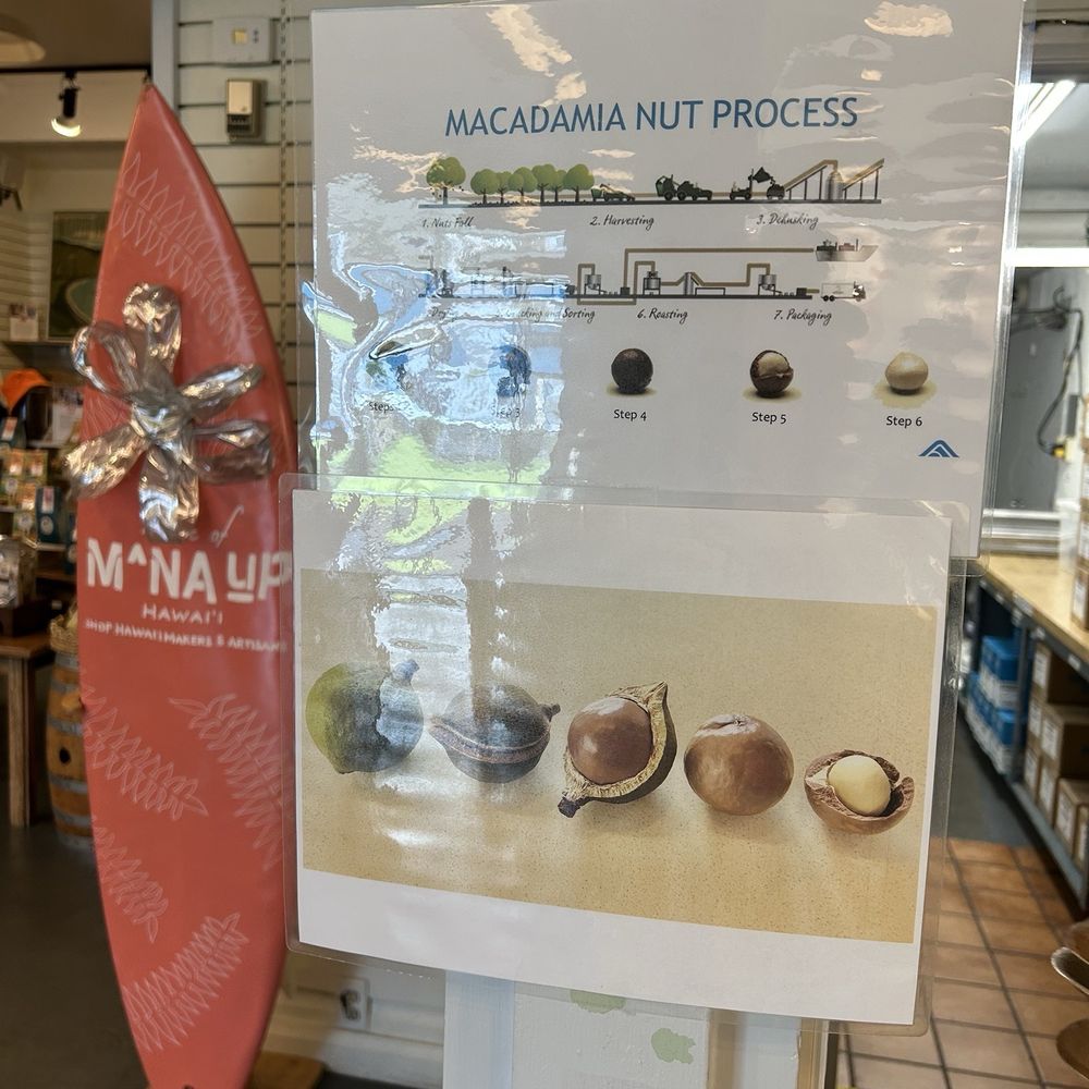 Mauna Loa Macadamia Nut - Chocolatiers & Shops Near Me - Keaau, Hawaii Mauna Loa Macadamia Nut - Chocolatiers & Shops Near Me - Keaau, Hawaii
