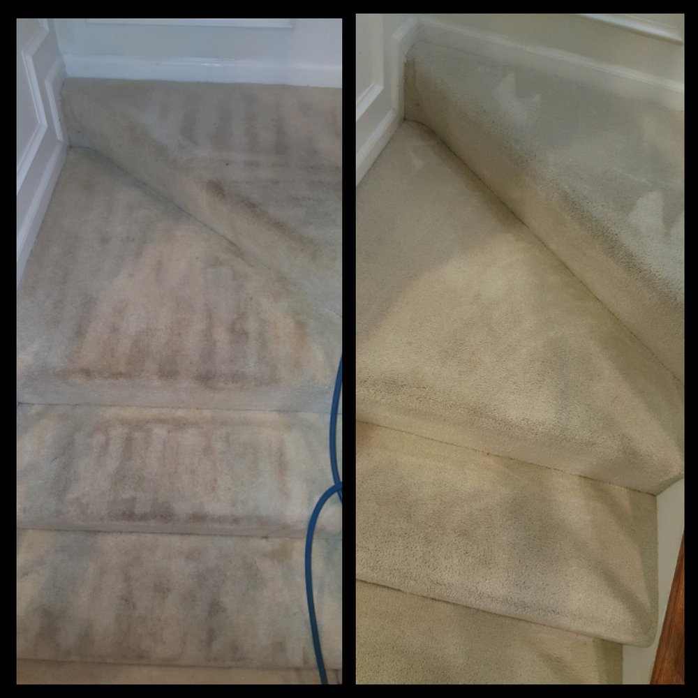 WALL2WALL STEEMERS Updated September 2024 1193 B Seminole Trl