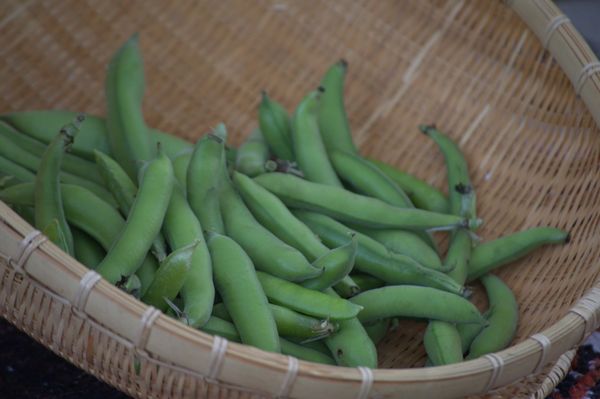 Downtown Growers' Market by null