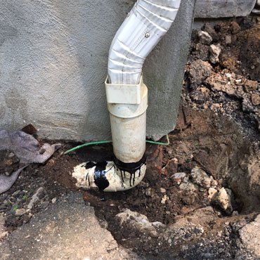 Slide of Snake Master