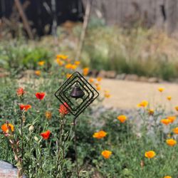 Blooming Desert Design + Build