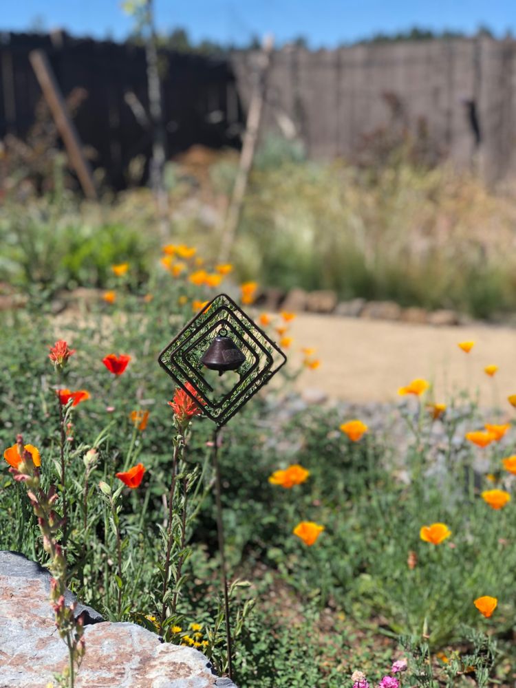 Slide of Blooming Desert Design + Build