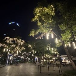 Ayala Triangle Gardens