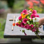 Photo of Nevada Funeral Services