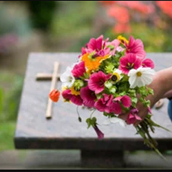 Nevada Funeral Services