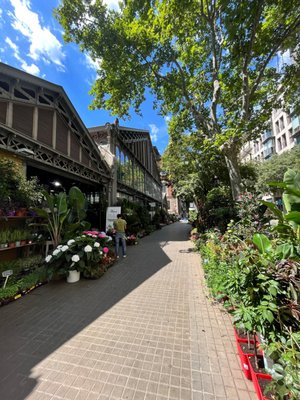 La Concepció Market by null