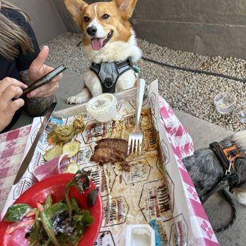 Moab Spitfire Smokehouse - Dog friendly patio. - Barbeque Near Me - Moab, Utah Moab Spitfire Smokehouse - Dog friendly patio. - Barbeque Near Me - Moab, Utah