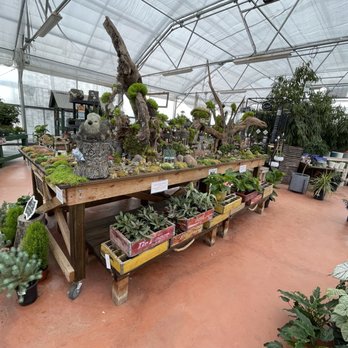 Spring Creek Gardens - Fairy/Gnome village inside the greenhouse - Landscaping Near Me - Spring Branch, Texas