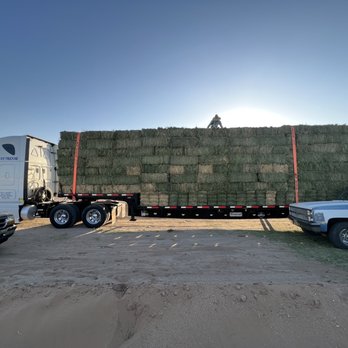 Rochas Farm Feed - Venta de Alfalfa de buena calidad - Livestock Feed & Supply Near Me - Perris, California Rochas Farm Feed - Venta de Alfalfa de buena calidad - Livestock Feed & Supply Near Me - Perris, California