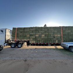 Rochas Farm Feed - Venta de Alfalfa de buena calidad