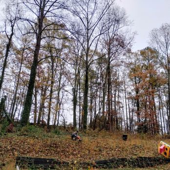 Total Brush Removal - a group of people working in the woods - Lawn Services Near Me Total Brush Removal - a group of people working in the woods - Lawn Services Near Me
