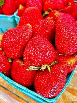 Tiny's Organic by null