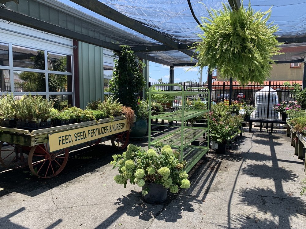 NEW BERN FARM, GARDEN AND LANDSCAPE SERVICES - Nurseries & Gardening