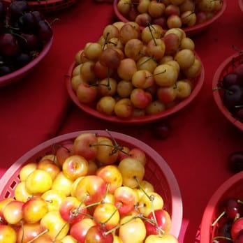 San Leandro Cherry Festival - Festivals Near Me - San Leandro, California