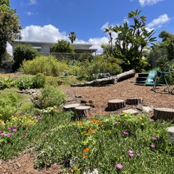 Lilac Sea Nursery School