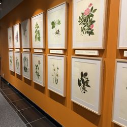 The Rooms