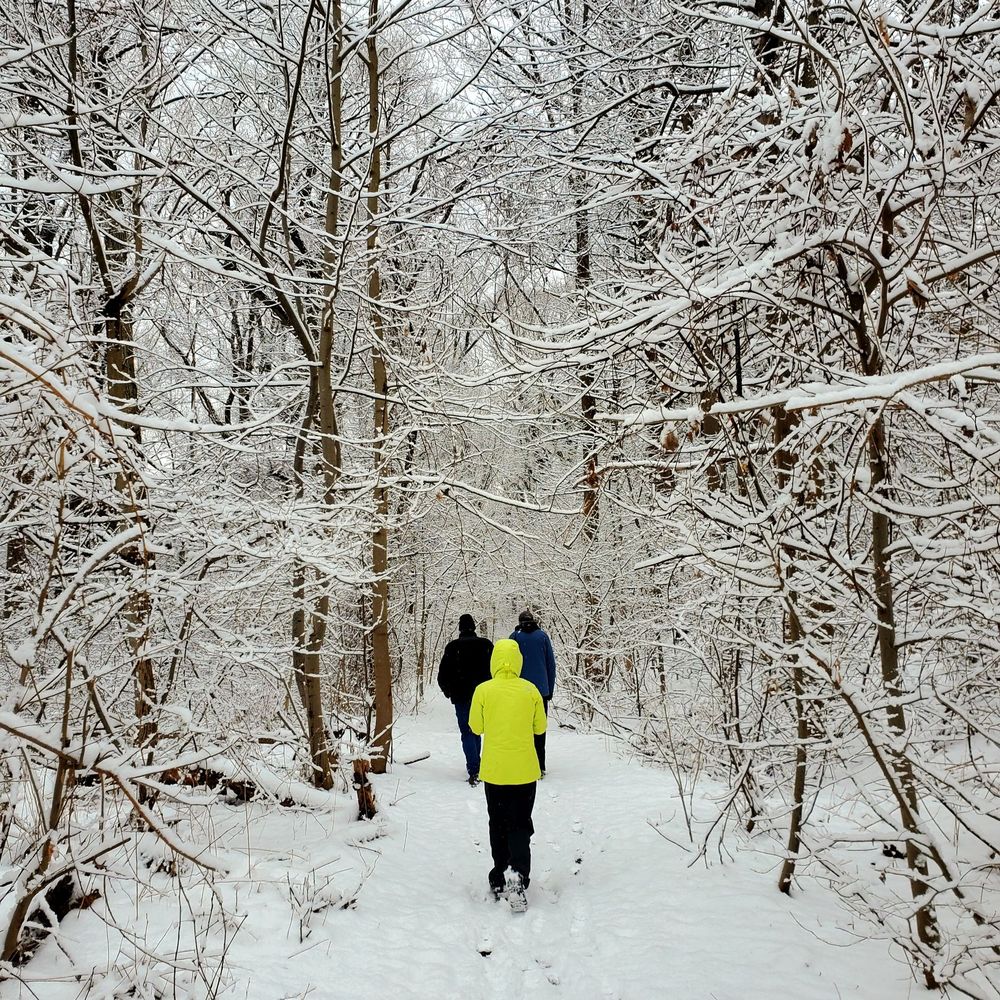 Van Cortlandt Park  - Lovely 4 mile hike in the fluffy snow - 2/13/2022 - Parks Near Me - Bronx, New York