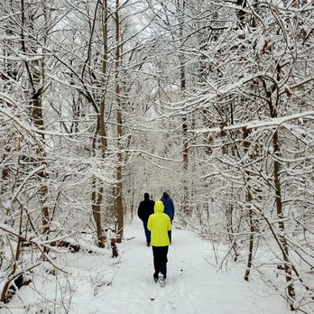 Van Cortlandt Park  - Lovely 4 mile hike in the fluffy snow - 2/13/2022 - Parks Near Me - Bronx, New York