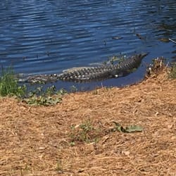 Oak Point Golf Course