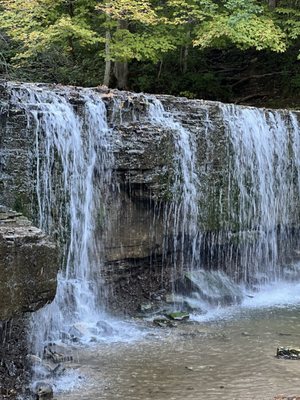 Nerstrand Big Woods State Park