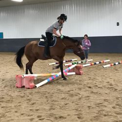 Pine Ridge Riding Center