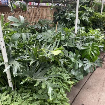 City Floral - Nurseries & Gardening Near Me - Denver, Colorado City Floral - Nurseries & Gardening Near Me - Denver, Colorado