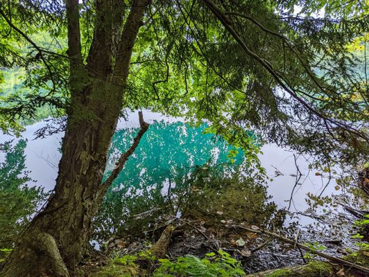 Green Lakes State Park by null