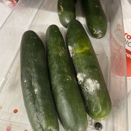Rotten cucumbers Rotten cucumbers