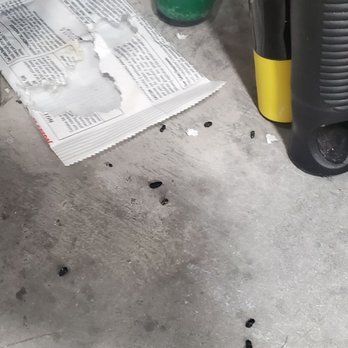 Golden State Storage - Blue Diamond - Chewed through mouse poison packet and droppings right under the roll up door. - Self Storage Near Me - Las Vegas, Nevada Golden State Storage - Blue Diamond - Chewed through mouse poison packet and droppings right under the roll up door. - Self Storage Near Me - Las Vegas, Nevada