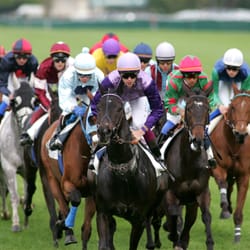Hippodrome de Chantilly - Peloton de face Hippodrome de Chantilly