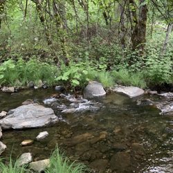 River Ranch Campgrounds - River, very clear water