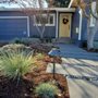 Photo of Better Lawns