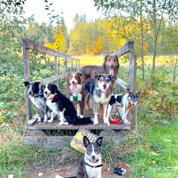 Sidekick Dog Training - We love hiking and posing with our friends. - Pet Training Near Me