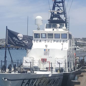 Sea Shepherd Conservation Society office