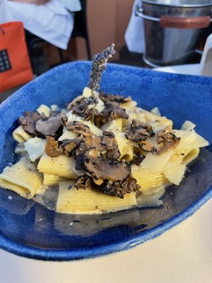 Mayssa Beach by null